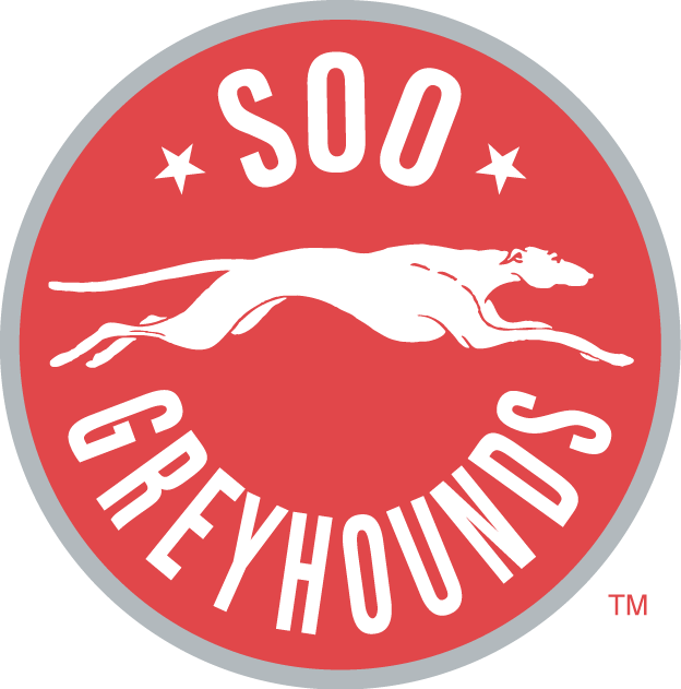 Sault Ste. Marie Greyhounds 2009 10-2012 13 Primary Logo vinyl decal